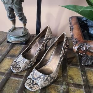 Tahari Snakeprint Shoes